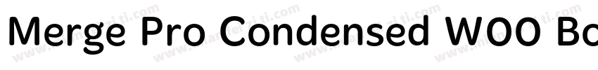 Merge Pro Condensed W00 Bold字体转换